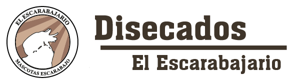Disecados, El Escarabajario